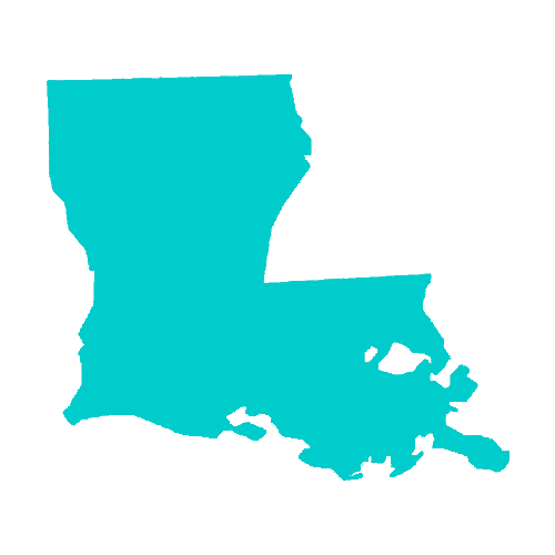 Map of Louisiana highlighting healthcare